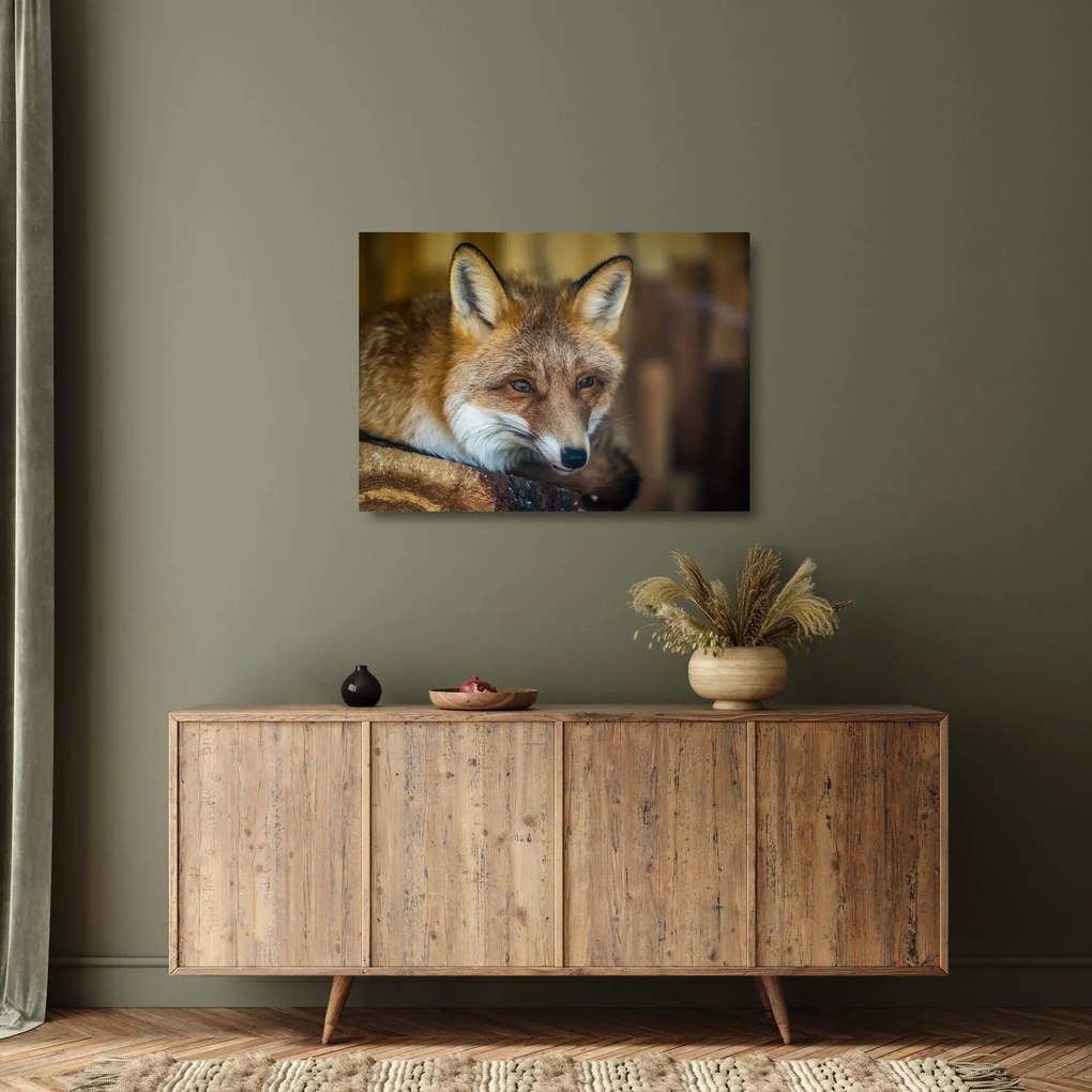Tablou pe sticlă cu vulpe (70x50 cm)