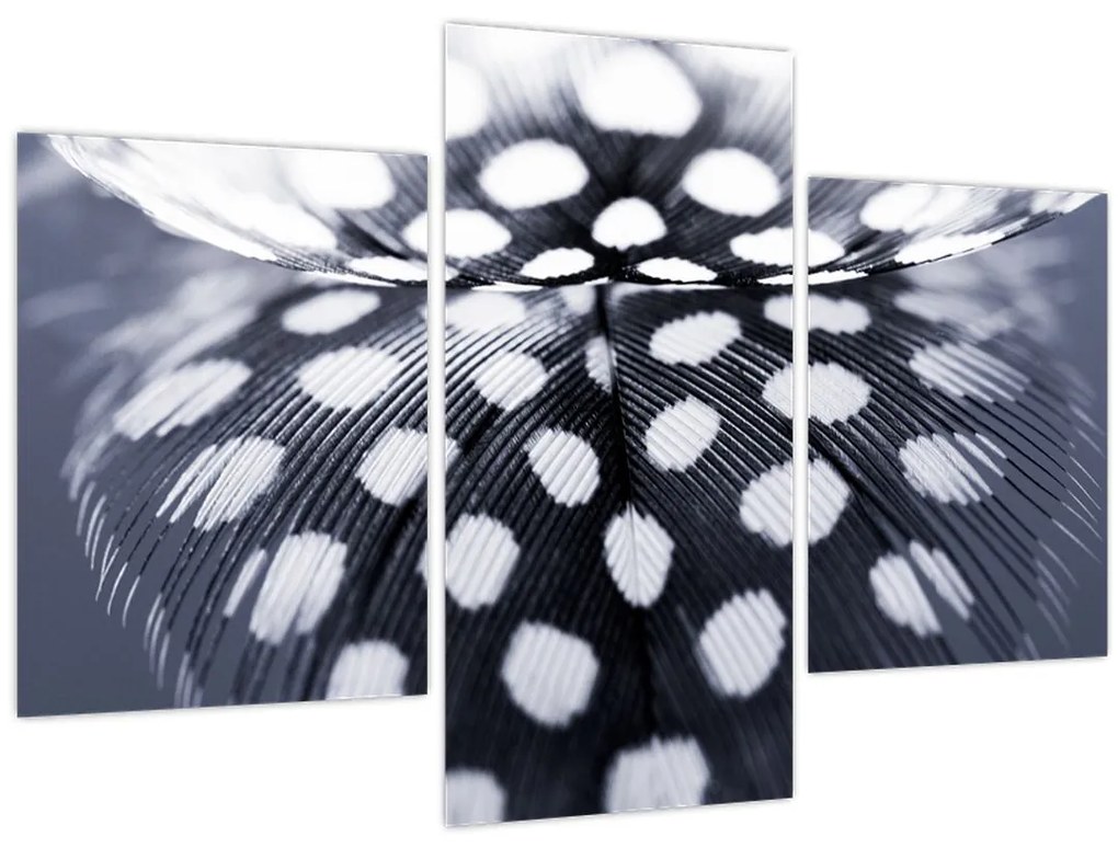 Tablou - Pană (90x60 cm)