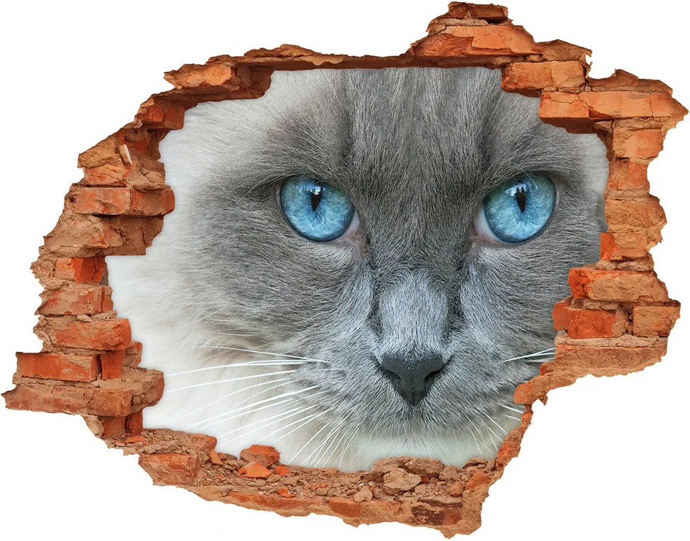 Autocolant de perete gaură 3D Cat ochi albaștri