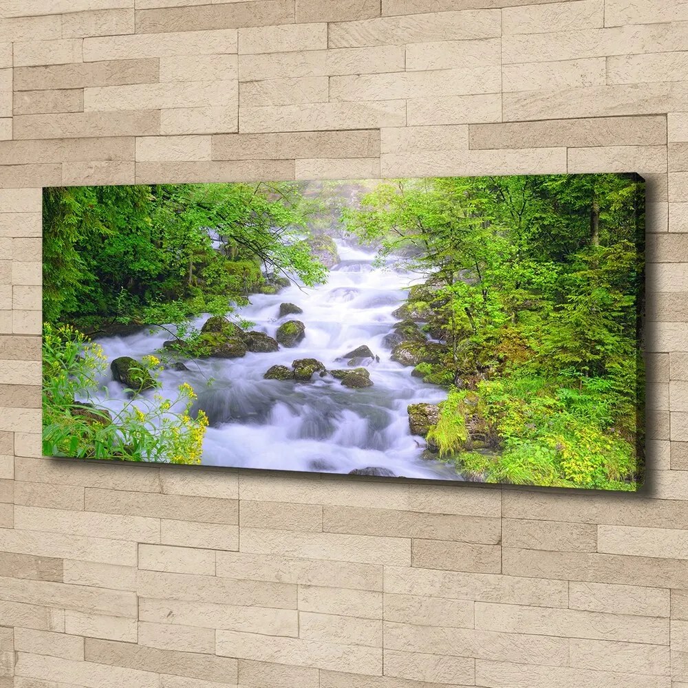 Imprimare tablou canvas Râu de munte
