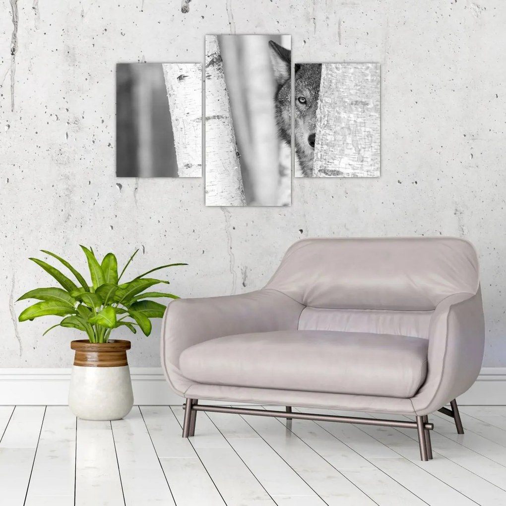 Tablou - Lupul din pădure (90x60 cm)