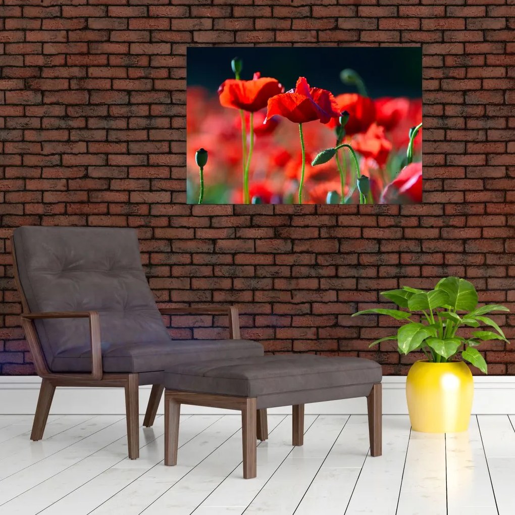 Tablou - flori de maci (90x60 cm)