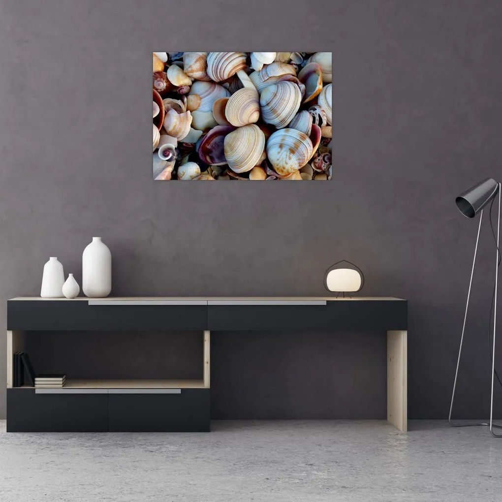 tablou cu scoici (70x50 cm)