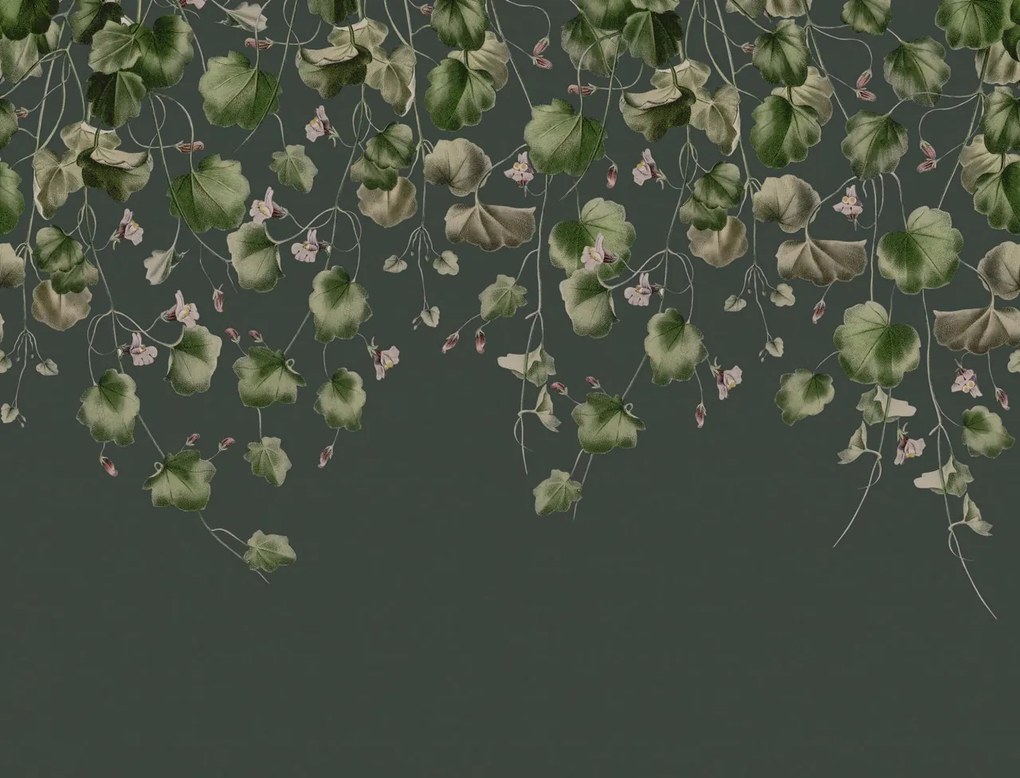Fototapet, Dangling Ivy, Dark, Rebel Walls