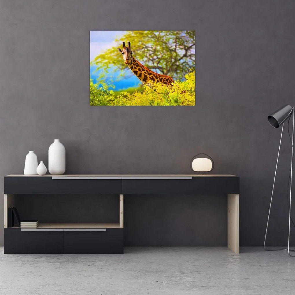 Tablou pe sticlă - Girafa în Africa (70x50 cm)