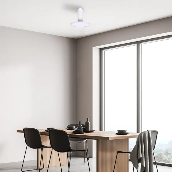 Rabalux 71328 - Plafonieră LED OVIDIA, 20W, 230V, 3000K, albă