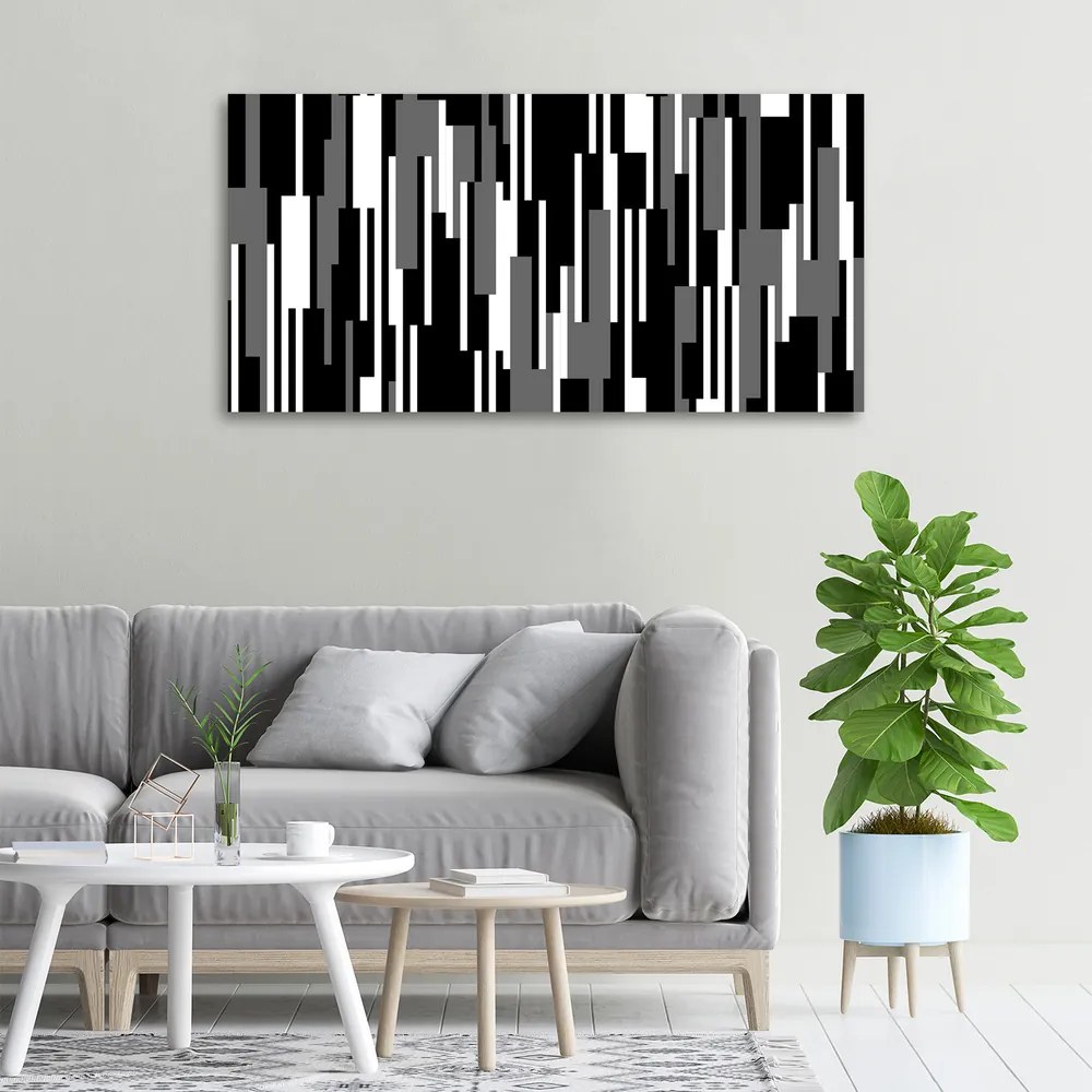 Tablou pe pânză canvas Linii negre și albe