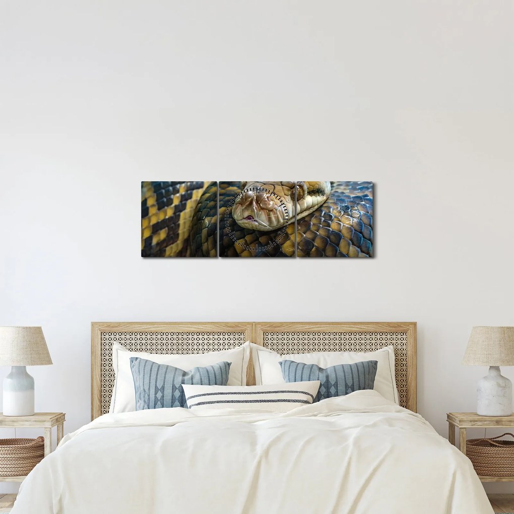 Tablou - Piton (cu ceas) (90x30 cm)