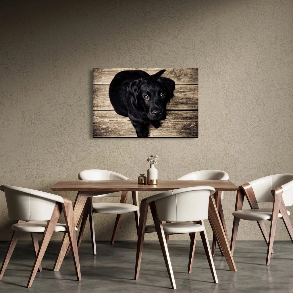 Tablou cu cățeluș negru (90x60 cm)