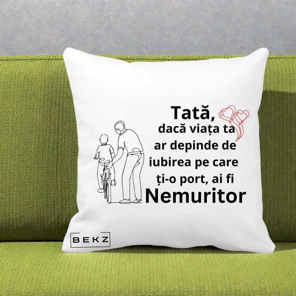 Cadou pentru Tata - Perna Personalizata Tata Nemuritor Bicicleta, 40x40 cm, Alba Mata, Husa Detasabila, Perna Inclusa, BEKZ®
