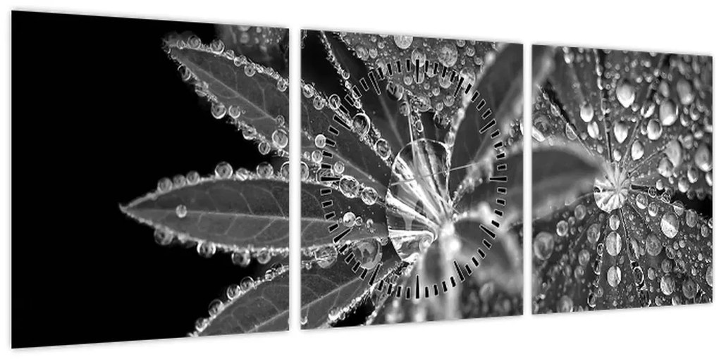 Tablou - Frunze cu picături (cu ceas) (90x30 cm)