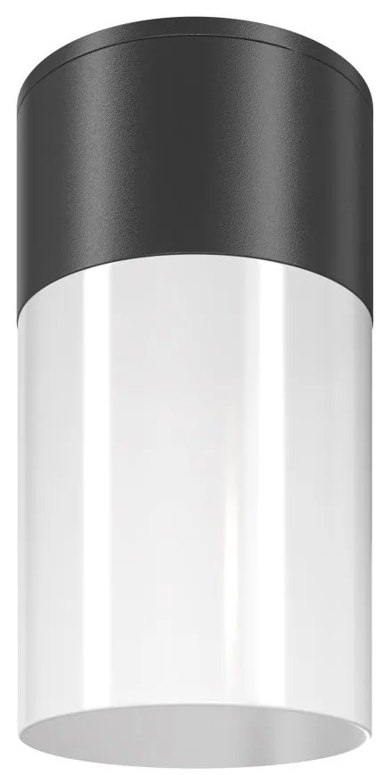 Spot aplicat, plafoniera pentru iluminat exterior IP54 Willis negru