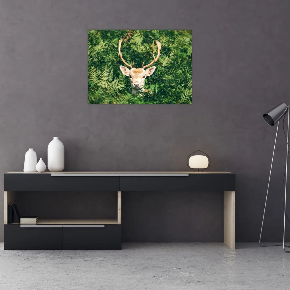 Tablou pe sticlă detaliu cu cap de căprioară (70x50 cm)