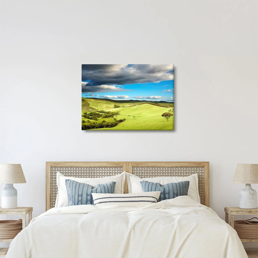 Tablou - Peisaj verde cu dealuri (70x50 cm)