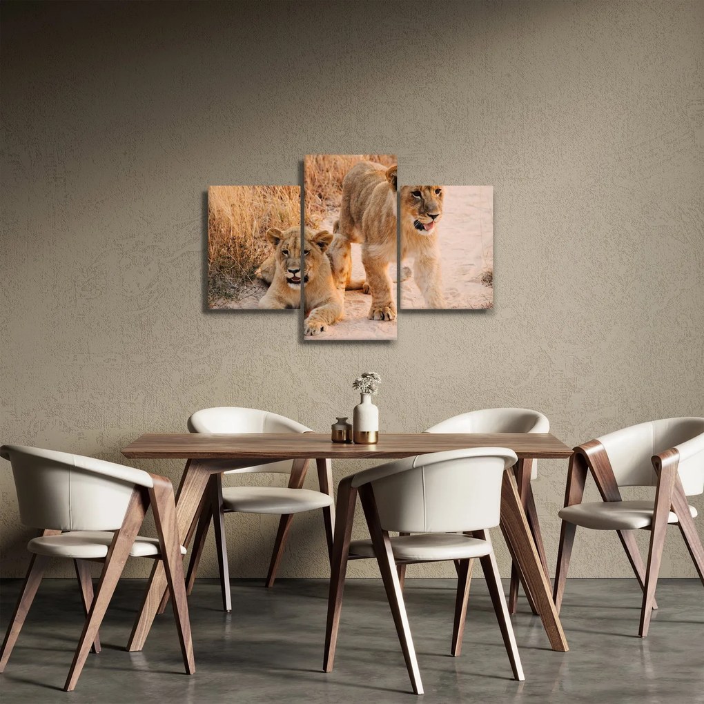 Tablou cu pui de leu (90x60 cm)