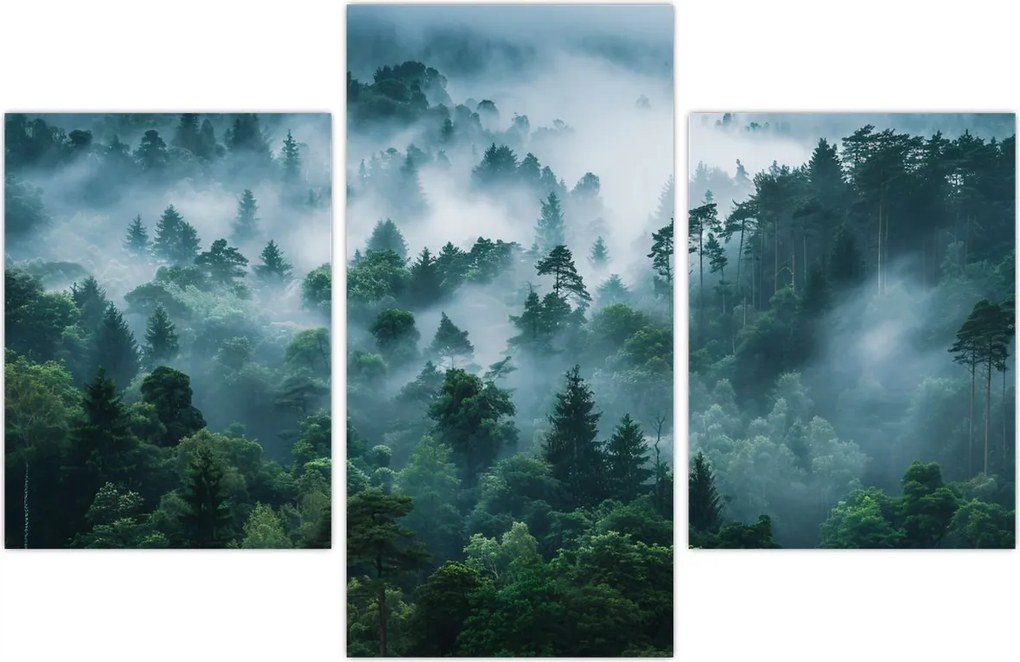 Tablou - Pădure în Ceață (90x60 cm)