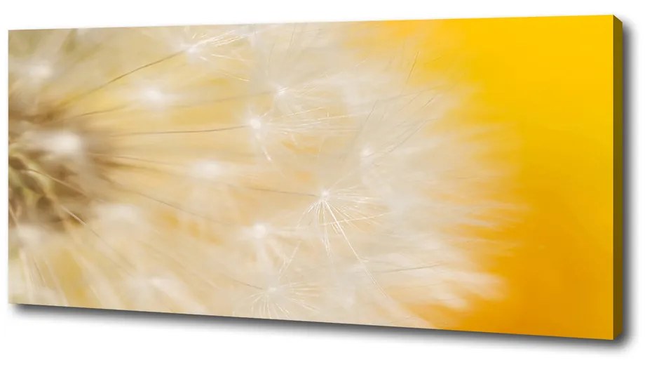 Tablou canvas Păpădie