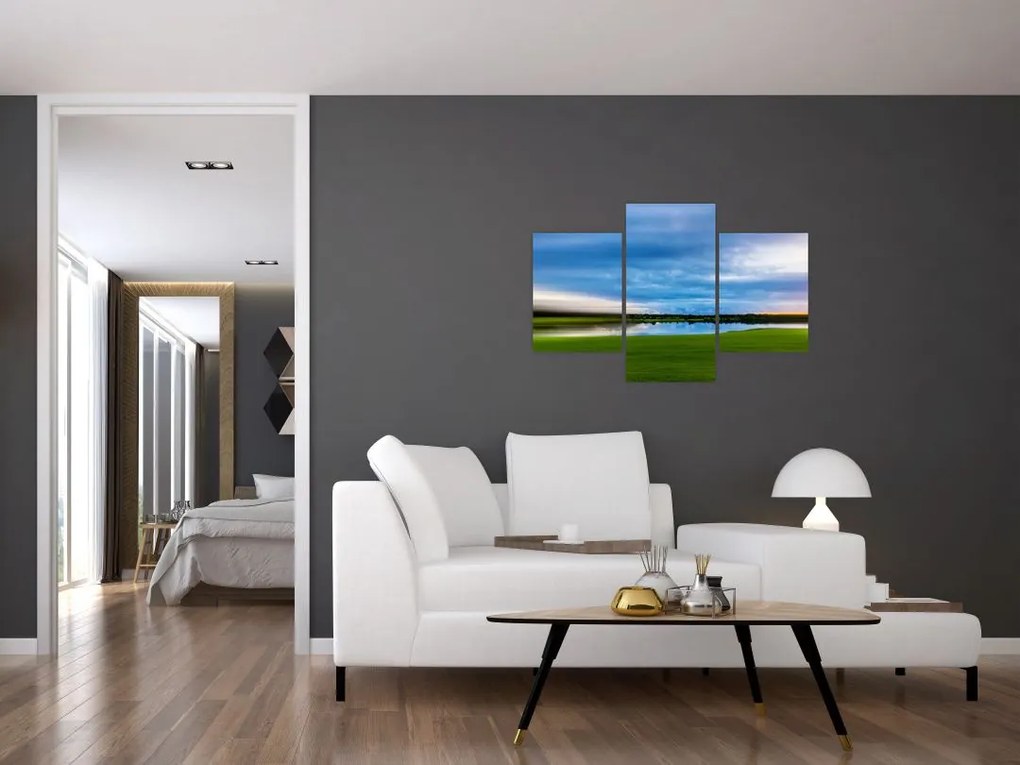 Tablou cu lunca (90x60 cm)