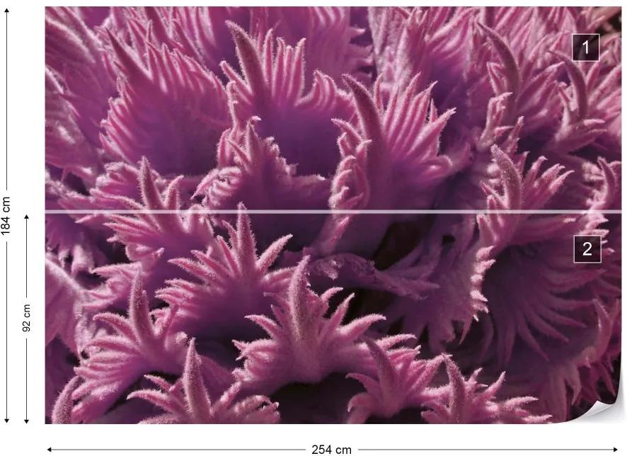 GLIX Fototapet - Pink Organic Texture Vliesová tapeta  - 254x184 cm