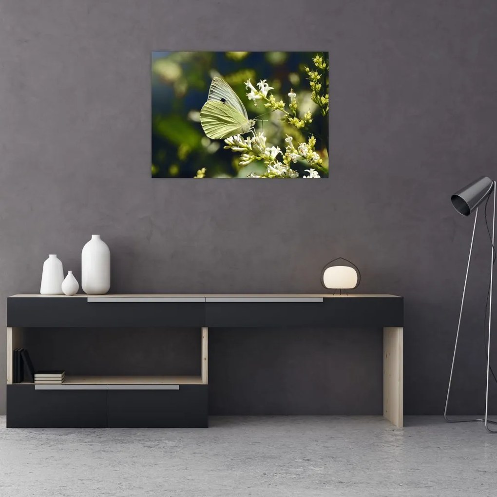 Tablou pe sticlă cu fluture (70x50 cm)