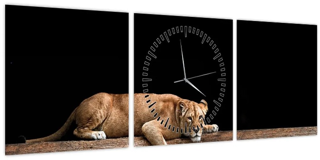 Tablou - Lioness (cu ceas) (90x30 cm)