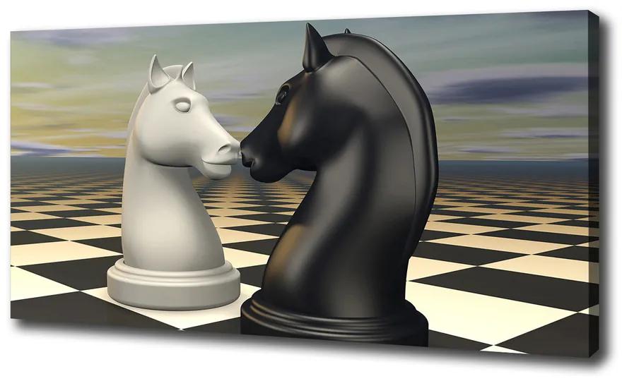 Tablou pe pânză canvas Cai de șah