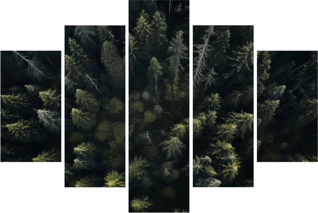 Tablou - Pădure (150x105 cm)