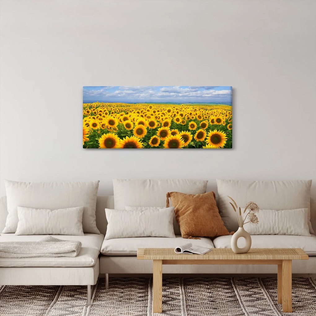 Tablou cu lan de floarea soarelui (120x50 cm)
