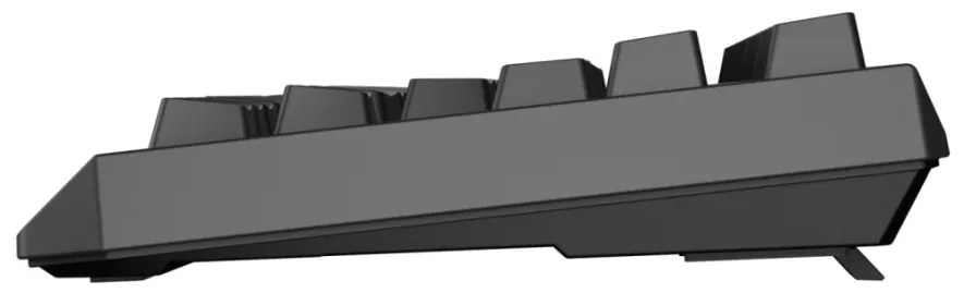 Tastatura WS Genesis Thor 230 TKL R ng