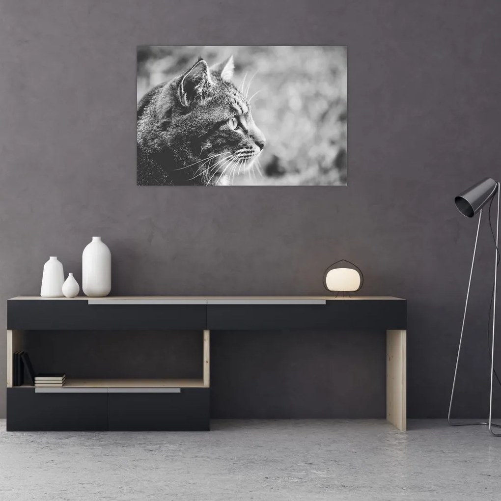 Tablou - Pisica (90x60 cm)