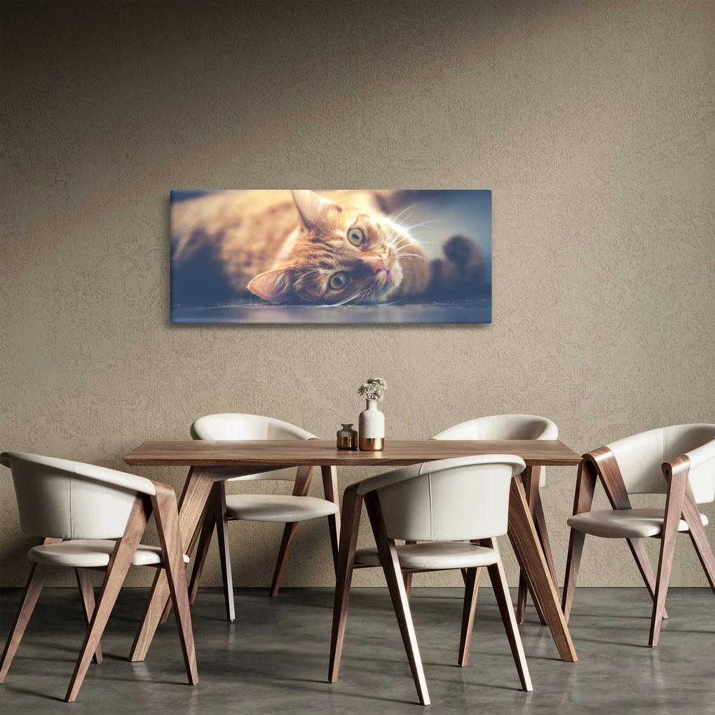 Tablou - Pisici pe podea (120x50 cm)