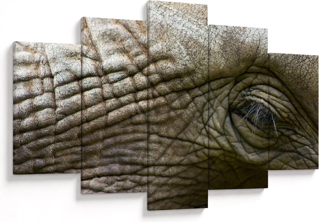 Tablou - Prim-planul ochiului de elefant vechi (150x105 cm)