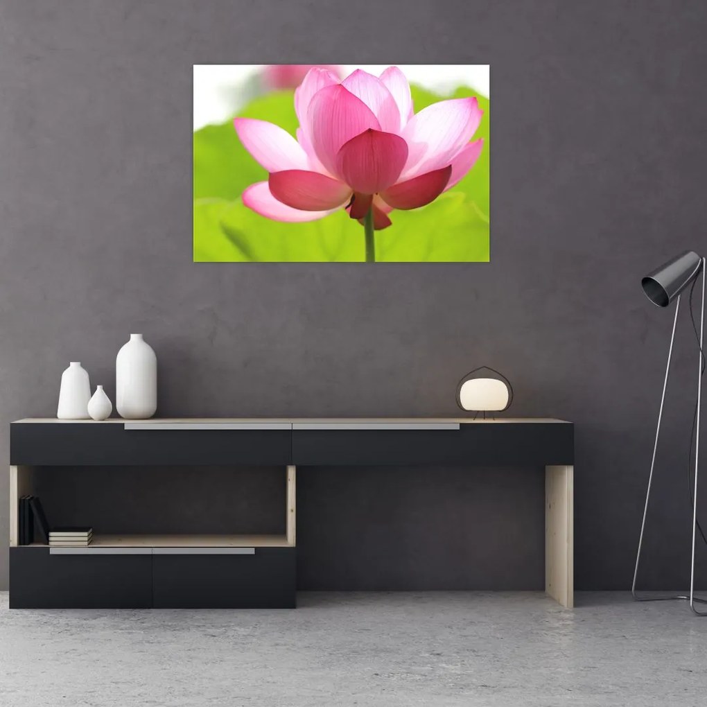 Tablou cu flori de lotus (90x60 cm)