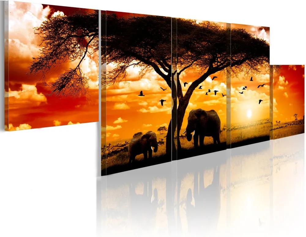 Tablou Bimago - Red sunset - Africa 100x30
