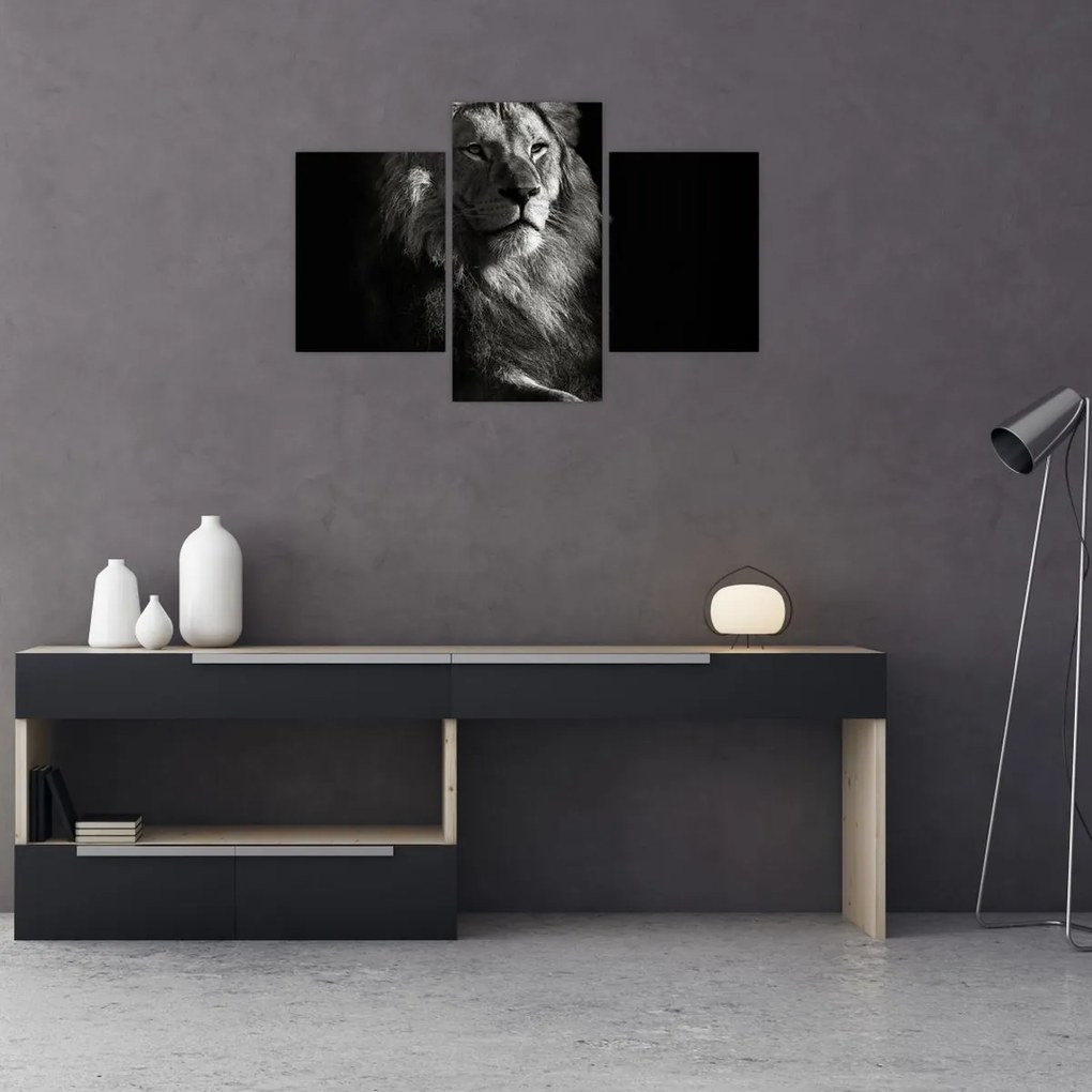 Tablou - Leu (90x60 cm)