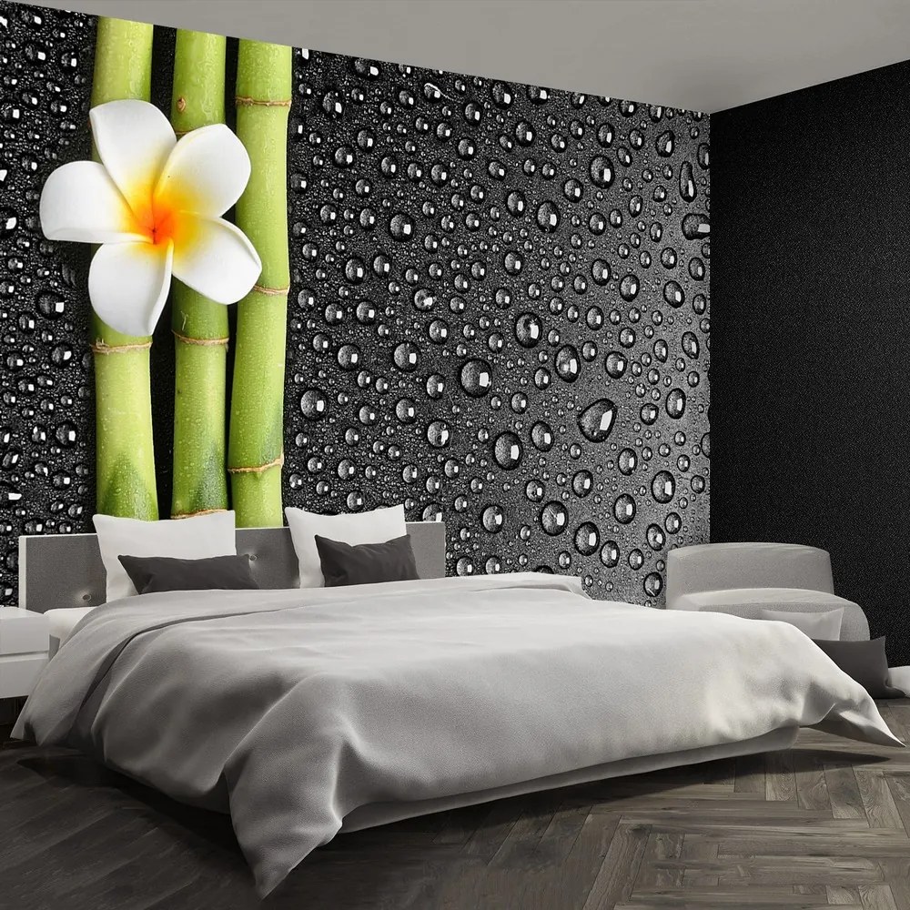 Fototapet frangipani flori