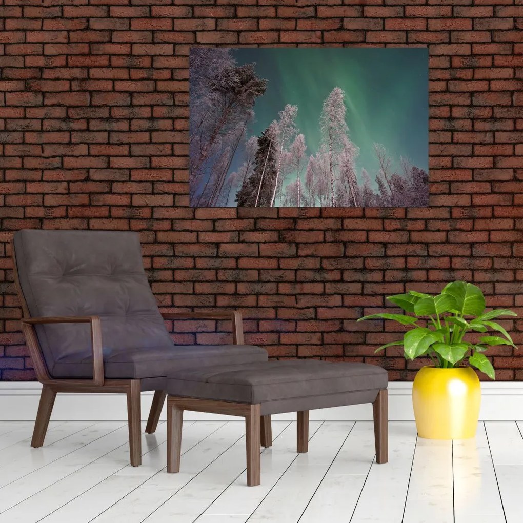 Tablou cu aurora borealis deasupra pomilor înghețați (90x60 cm)
