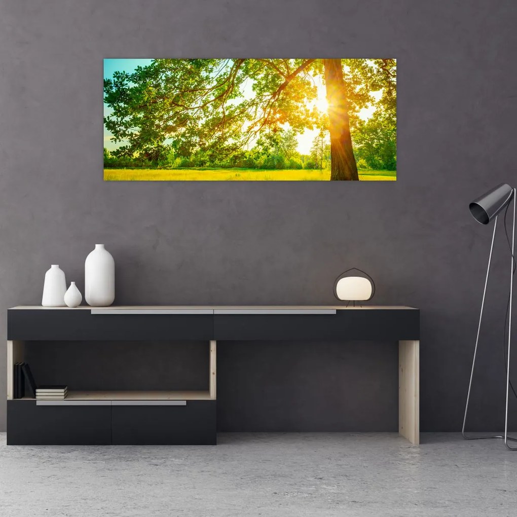 Tablou - Pădurea însorită (120x50 cm)