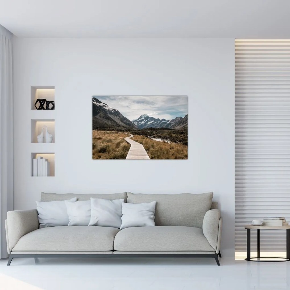 Tablou - Poteca în valea muntelui Mt. Cook (90x60 cm)