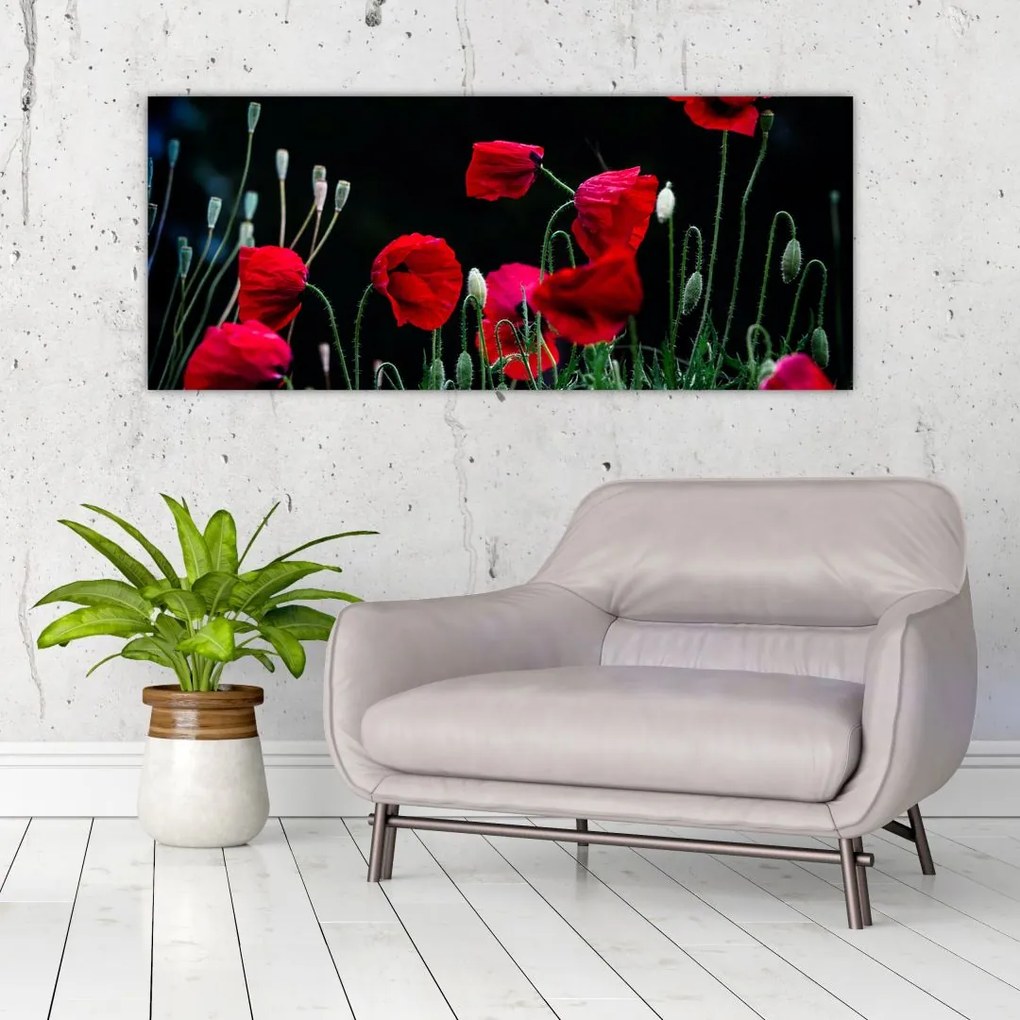Tablou - Dansul macilor (120x50 cm)