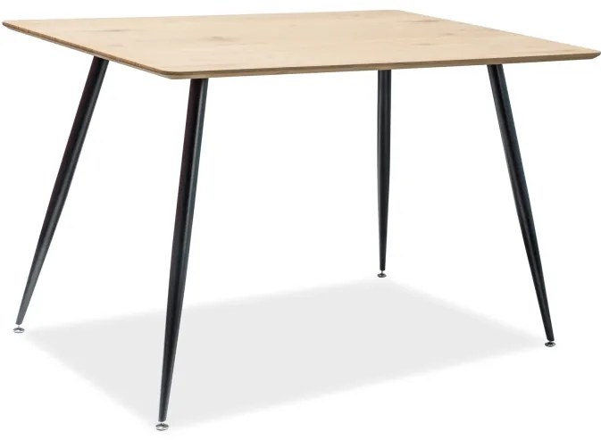 Masa Stejar / Negru, REMUS 120X80