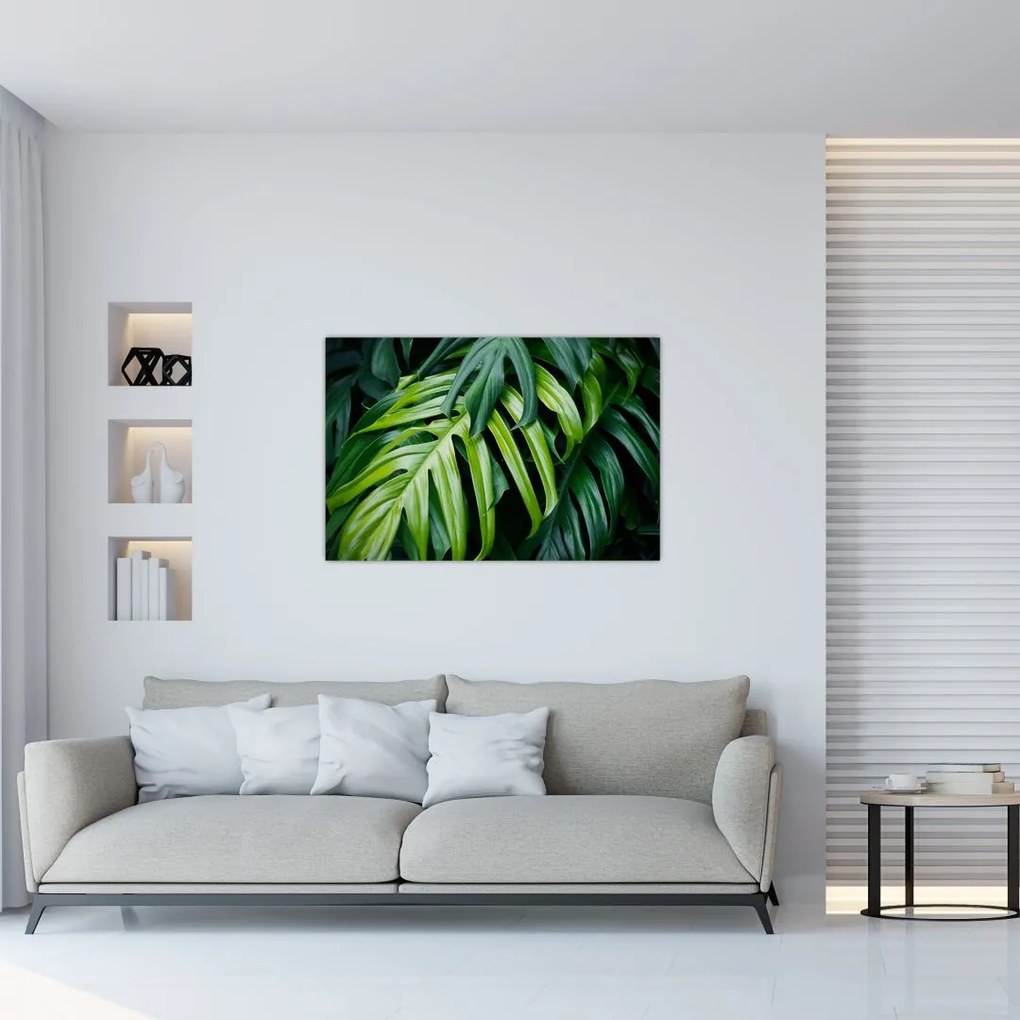 Tablou - Frunze tropicale (90x60 cm)