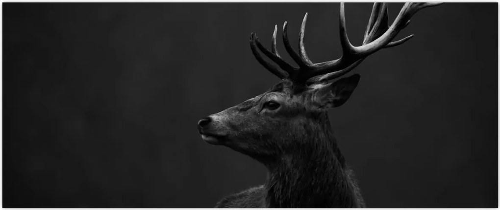 Tablou - Portret de căprioară (120x50 cm)