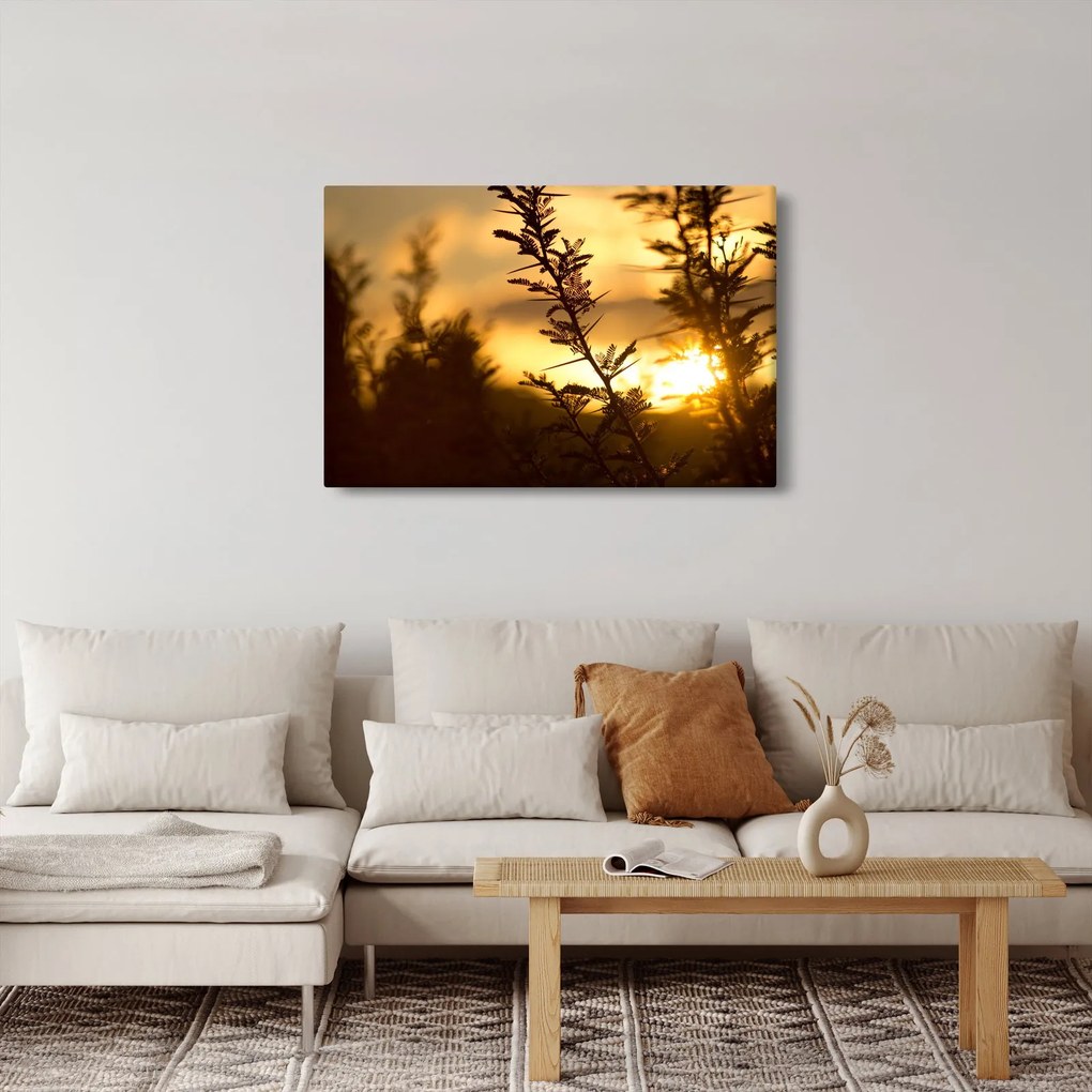 Tablou - Apus de soare (90x60 cm)