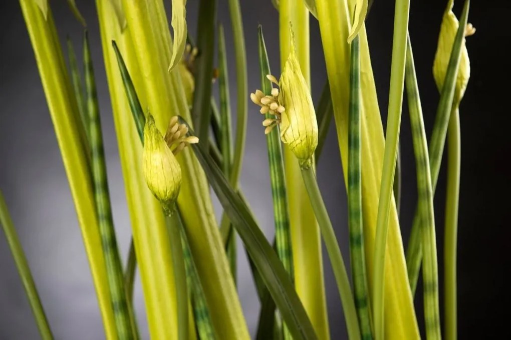 Aranjament floral, decor festiv, design LUX SPIDERLILLY, 50x100cm