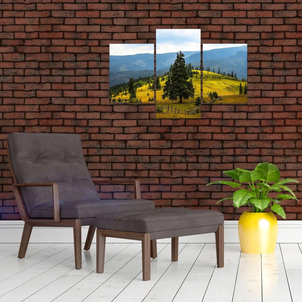 Tablou - Lunca de munte (90x60 cm)