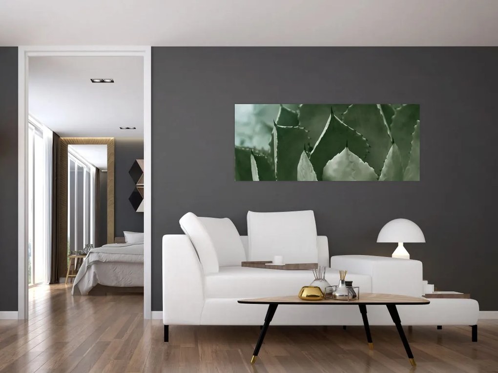 Tablou - Agave verde (120x50 cm)