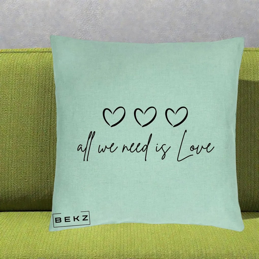 Perna Decorativa All We Need Is Love, 40x40 cm, Verde Menta, Husa Detasabila, Perna Inclusa, BEKZ®