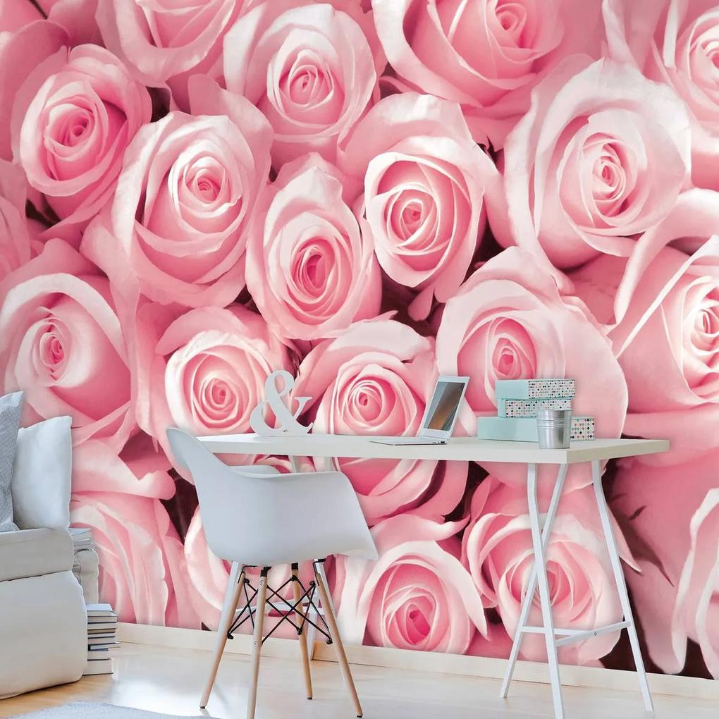 Fototapet - Trandafirii roz (254x184 cm), în 8 de alte dimensiuni noi