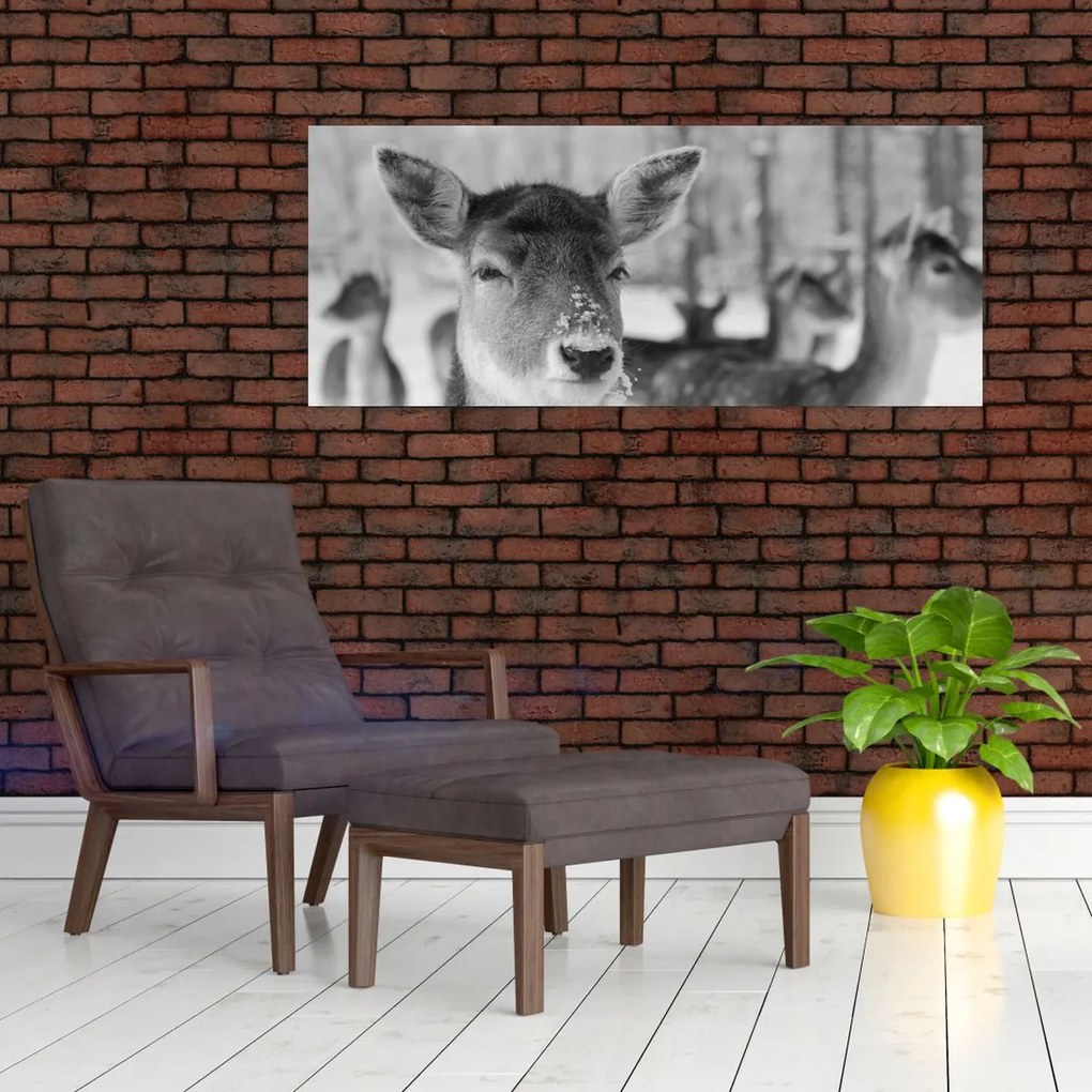 Tablou - Cerbi,alb-negru (120x50 cm)